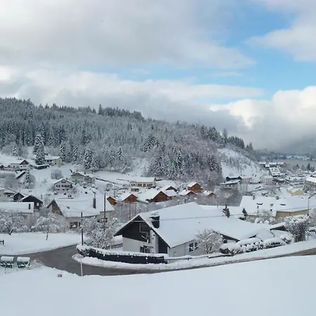 Entre Lac Et Pistes Gerardmer Exterior photo